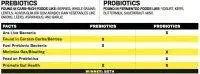 Chart-Prebiotics-vs-probiotics.webp