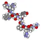 Gonadotropin_releasing_hormone3d.webp