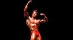 FRANKZANE1.webp