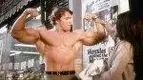 arnold-vintage-11090.webp