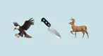 eagle-deer-fun-fact.webp