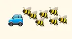 bee-swarm-followed-car-fun-fact.webp