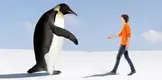 tall-penguins.webp