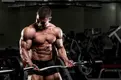 muscle-building-6.webp