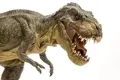 Tyrannosaurus-Rex-1024x683.webp