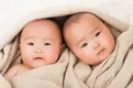 Twin-babies-in-blanket.webp