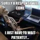 waiting-05.webp