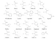 amino-acid-structure-diagram.webp