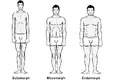 bodytypes.webp