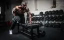 db_row_-_simeon_panda.webp