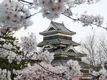 matsumoto-castle-japan.webp