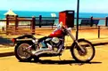 harley.webp