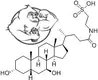 Tauroursodeoxycholic-acid-tudca-chemical-structure.jpg