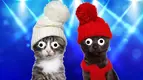 38838_cats-in-hats.webp