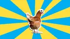 48289_another-lil-chicken.webp