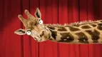 77382_giraffe9.webp