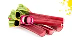 rhubarb.webp