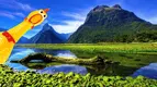 newzealand.webp