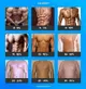 Metabolic_Audit-_Male_Body_Fat_Percentages_large.webp