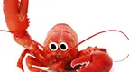 80548_lobster.webp