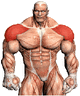 muscle_guy_large.gif