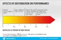 of-dehydration-on-performance_infographic-v2-700xh.webp