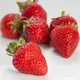 strawberries-large-200x200.webp