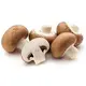 mushrooms-large-200x200.webp