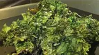 sesame-soy-kale-chips-header-700xh.webp