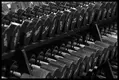 dumbbells3.webp