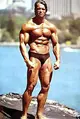 arnold-jpg.webp