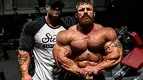 flex_lewis-jpg.webp