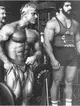 hardcore_bodybuilding-png.webp