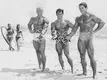 bodybuilding_legends-jpg.webp