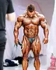 flex_lewis_lean-jpg.webp