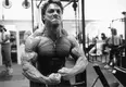 rich_gaspari_pose-jpg.webp