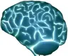 brain-glowing2.webp