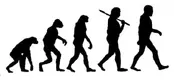 evolution.preview.webp