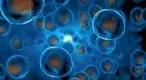 Embryonic-stem-cells.webp