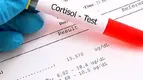 The-Truth-About-Cortisol.webp