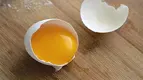 Egg.webp