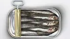 Cans-of-Sardines-1.webp