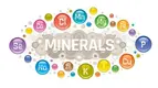 Mineral bioavailability