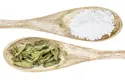 Stevia leaf and White sugar on wooden spoons