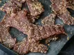 Homemade turkey jerky