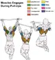 Calisthenics workout: A graphic demonstrating a pull up