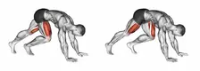 Calisthenics workout: A graphics illustration of mountain climbers