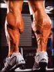 Training calves six days per week may seem extreme