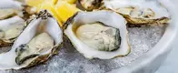 Oysters-Benefits