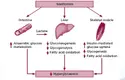 Metformin and Weight Loss